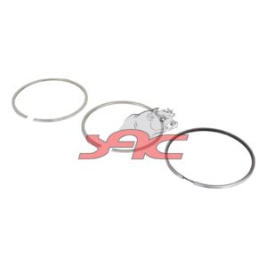 MAN F2000 D0824 PISTON RING KIT