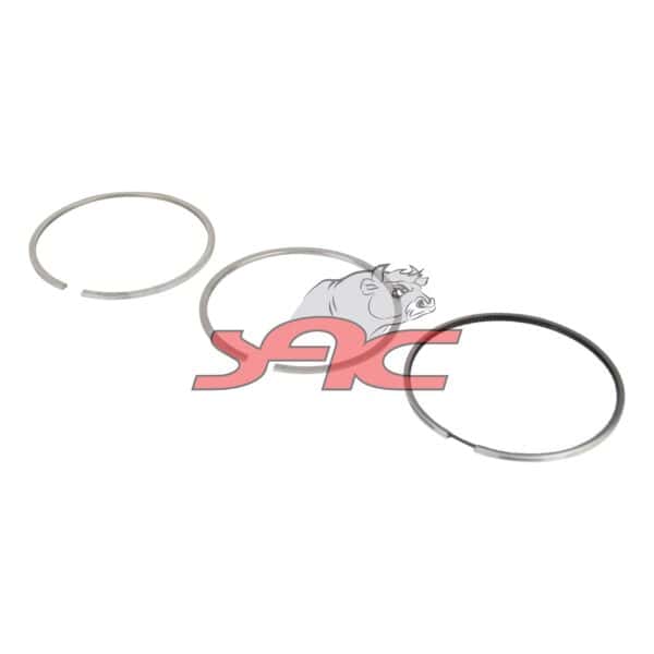MAN F2000 D0824 PISTON RING KIT
